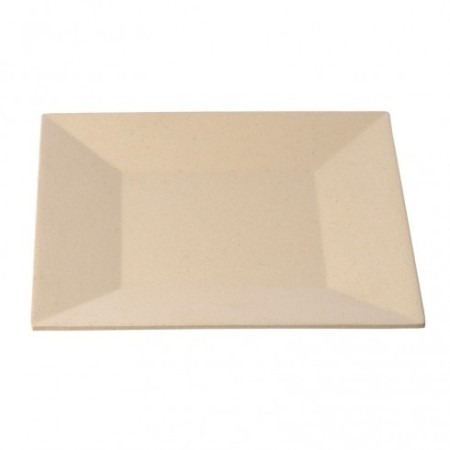 Plato pequeño especial Buffet 48 uds