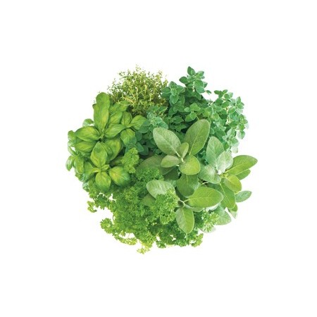 Exprimidora Omega VRT402HDS