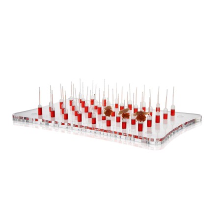 Soporte Gastro 40 Pipetas Cónicas