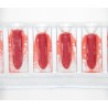 Lipstick mould 3D