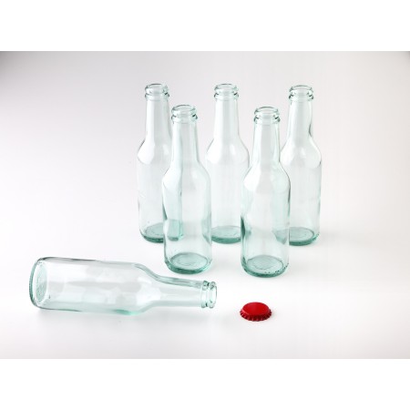 Botella Gin Tonic 24 uds