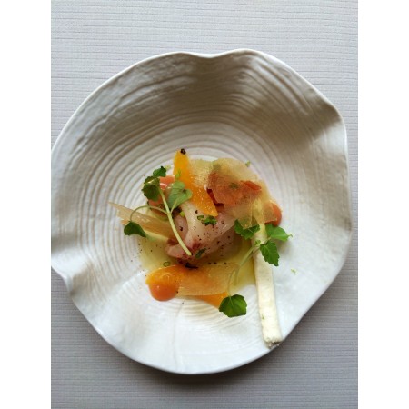 Colección ARBRE SUBLIME