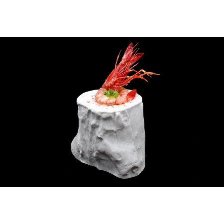 Colección ARBRE SUBLIME