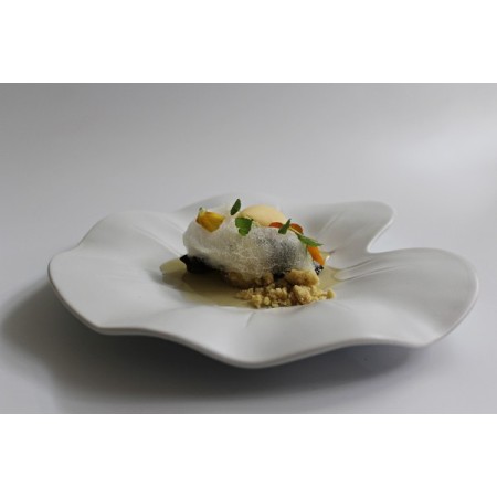 Colección NÉCTAR SUBLIME