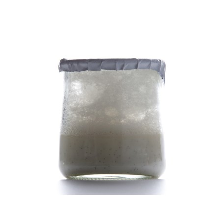 Bote Cuajada 180ml. 36 uds