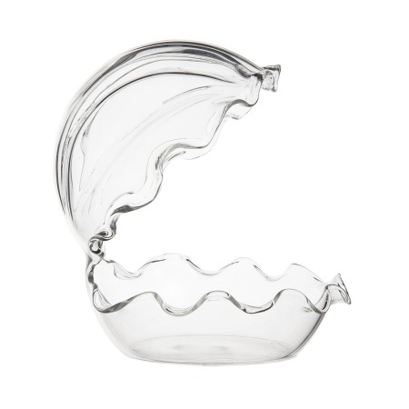 Almeja Plato de mar 1 ud