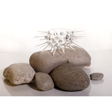 Erizo Plato de mar 1 ud