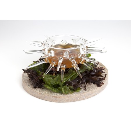 Erizo Plato de mar 1 ud