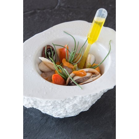 Roca XL porcelana 6 uds