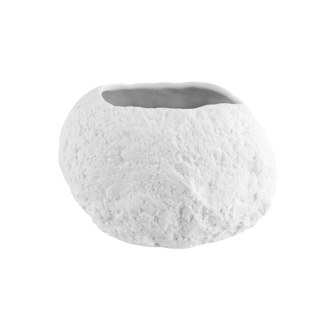 Roca presentación 12 uds