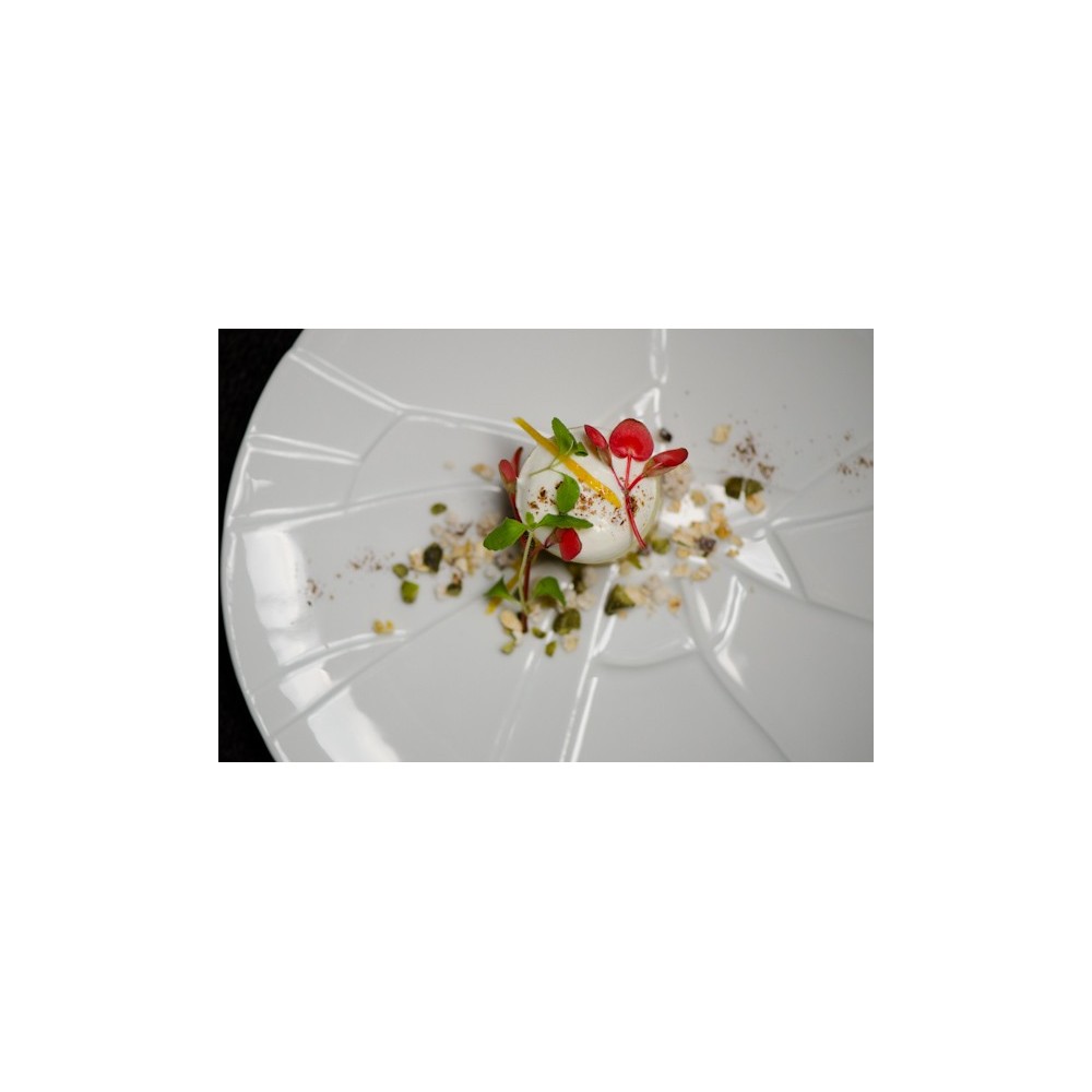 Plato 29 cm Trencadis SUBLIME 6 uds