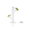 Vaso Cactus   2 uds