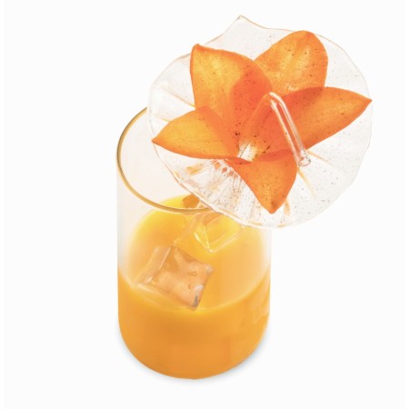 Pajita Hibiscus 2 uds