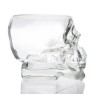 Vaso Skull 6 uds