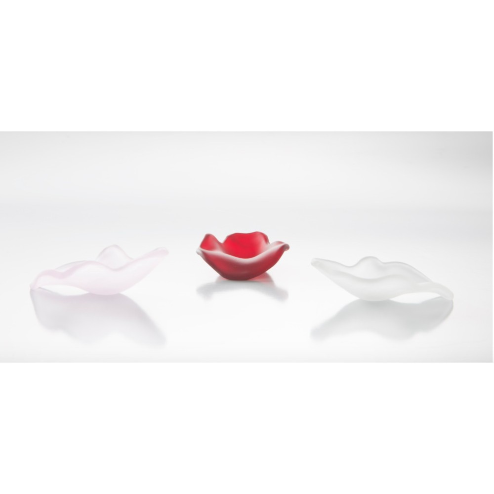 Petalos de Rosa 6  uds