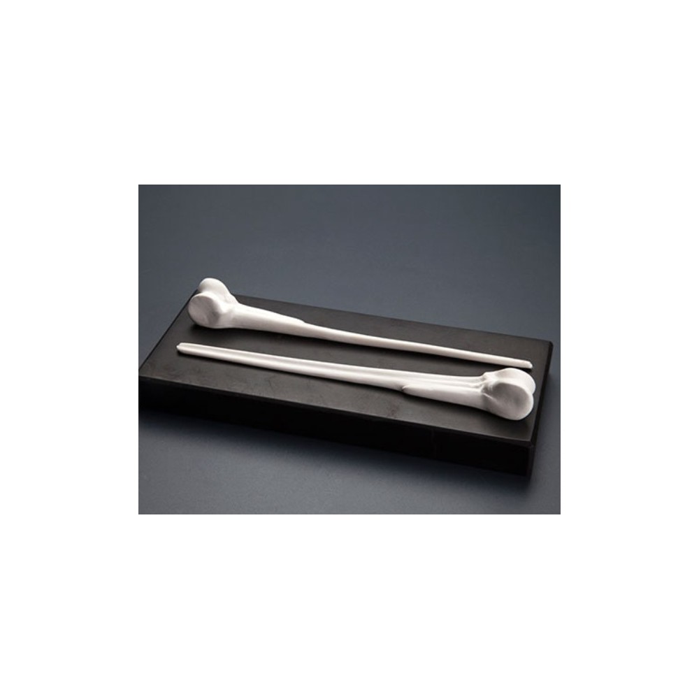 Brocheta Hueso 3 uds