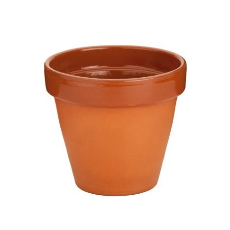 Cazuela Terra Xtrem 12uds