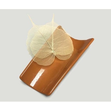 Teja Terra Xtrem 6 uds