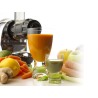 Extractor de jugos Omega J8228C