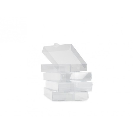 Mini pizza box Transparente