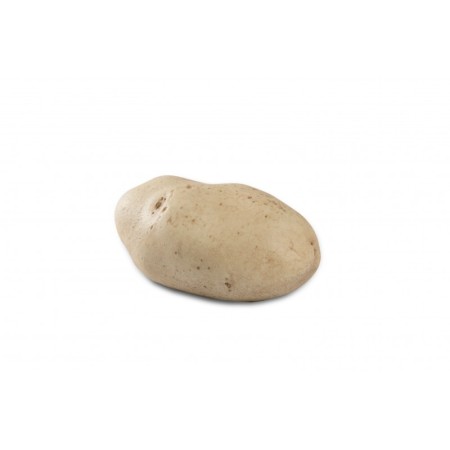 Bol Potato