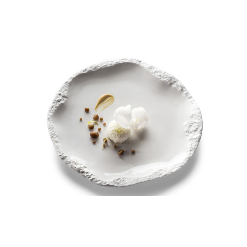 ComprarPlato Roca Brillo/mate en porcelana 27 cm 6 uds en latulip.es